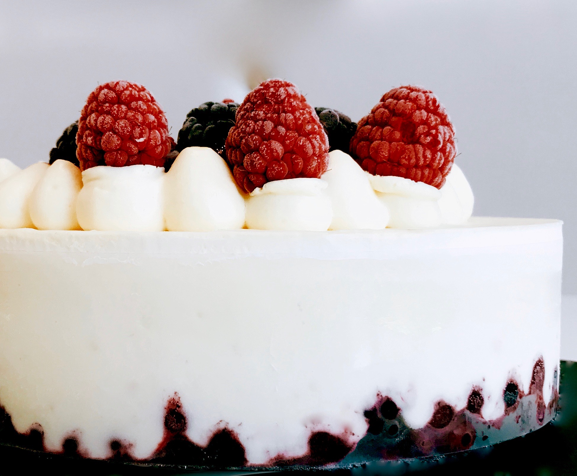 Cheesecake semifreddo ai frutti neri